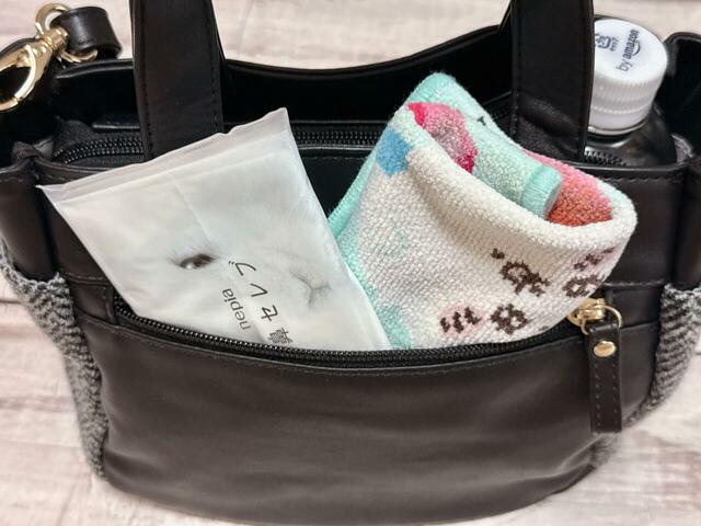 背面のポケットにはポケットティッシュとミニタオルをイン