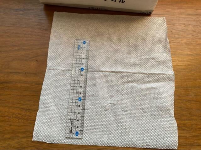 【ニトリ ぬれると99%除菌するペーパータオル(150N)】大きさは210mm×230mm