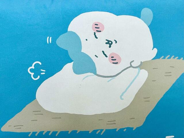 【ファッションセンターしまむら】決して裕福とは言えないハチワレですが、この健気さも魅力の1つです！