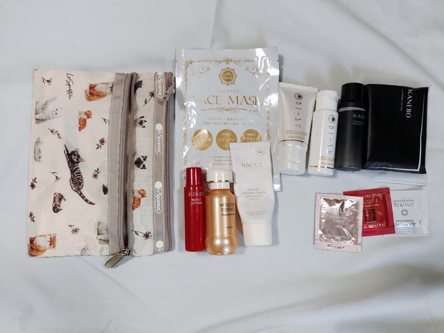 【BAILA（バイラ）4月号×付録 レスポートサック 癒しの猫柄ポーチ】シートマスクも楽々入る