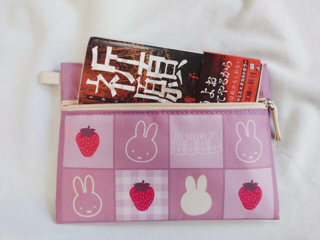 文庫本がすっぽり