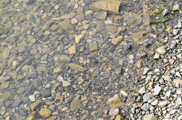精進湖の水は、緑がかって見えるが、透きとおっていてきれい。