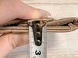 何も入れていない状態で測ってみたところ、もっとも厚みのある部分でも約1cm