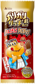 ガリガリ君リッチチョコチョコチョコチップ