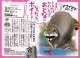 アライグマの言い分を聞いてみよう。