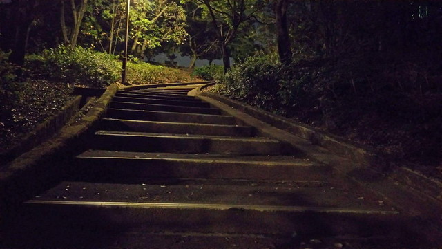 過去のツアーの模様