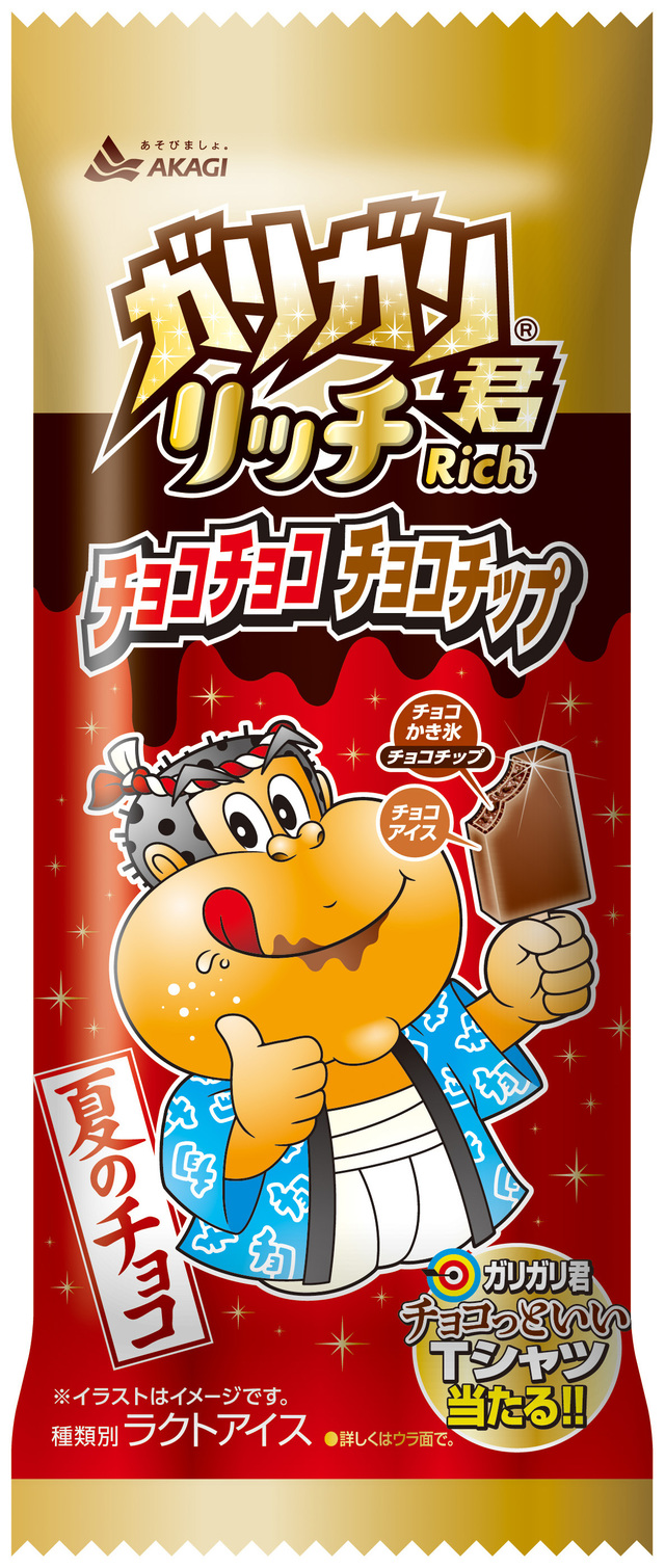 ガリガリ君リッチチョコチョコチョコチップ