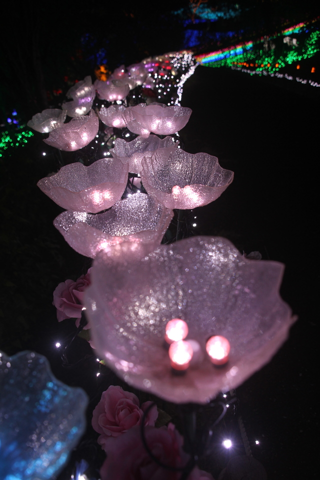 さがみ湖イルミリオン