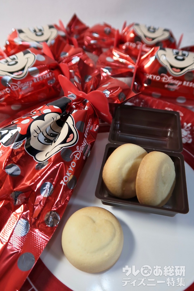 チョコインクッキー