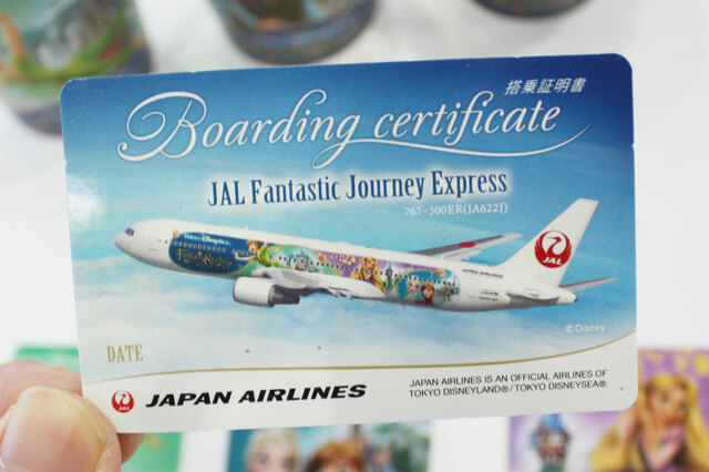 裏面は全デザイン共通で、特別塗装機が描かれています【JAL Fantastic Journey Express】