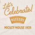 ミッキー ブランケット HAPPY BIRTHDAY MICKEY 2023 3,630円