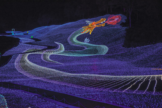 【総合エンタテインメント部門】第7位　アパリゾート上越妙高イルミネーション　