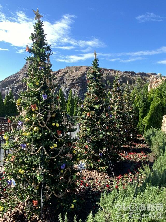 ディズニーシーのクリスマスツリー