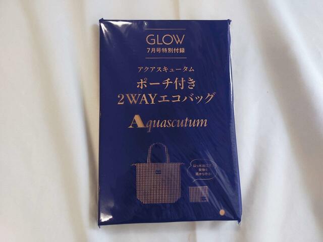 付録はAquascutum（アクアスキュータム）のポーチ付き2WAYエコバッグ