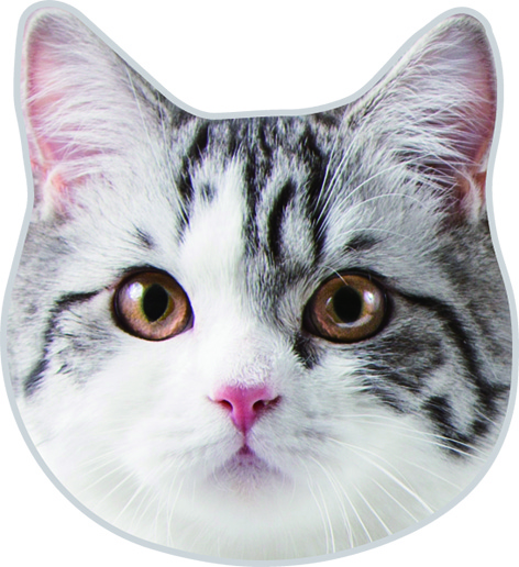 リアルモチーフタオル：1,100円（税込）