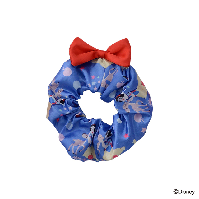 ディズニープリンセス モアプラスシュシュ