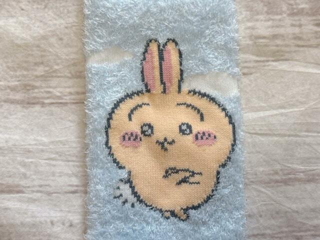 いつもの腕組みスタイルのうさぎ。「フゥン」という声が聞こえてきそう！