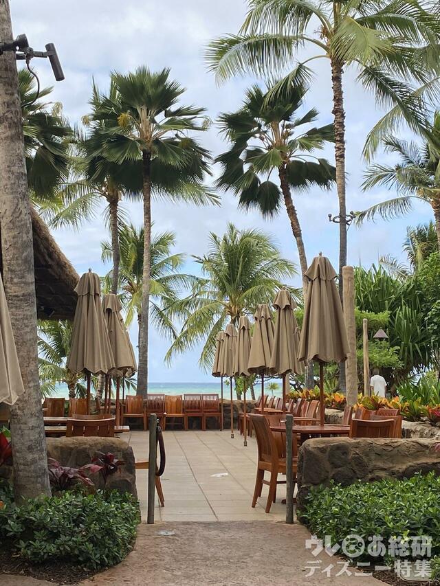 アウラニの風景