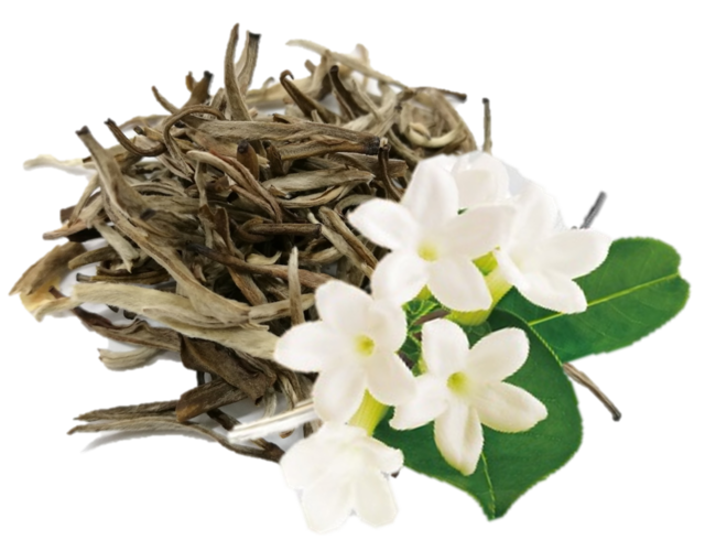 ジャスミン茶葉”銀毫（ぎんごう）”