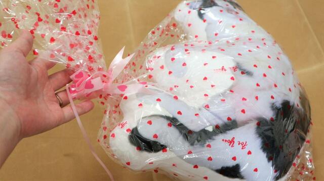 【ワールドライド百貨店 オリジナルペットクッション】リボンまで付いてました