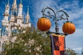 「ディズニー・ハロウィーン」は入園制限に要注意! 知っておきたい仕組み、時間、対策、お得な裏ワザetc. 完全ガイド