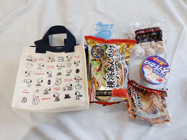 保冷剤や冷凍食品（3点）アイスが入った