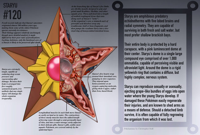 （画像は<a href=