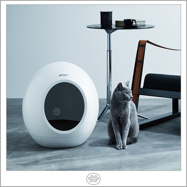 【petyes ROOM】35,200円