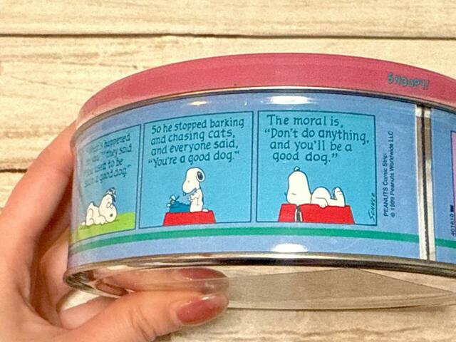 「何が起きたの？」と聞かれてしまい、吠えたり追いかけたりすることをやめてみたスヌーピー。「何もしないことが良い犬になることだ」という道徳を学んだというお話です