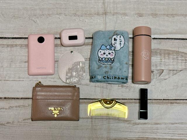 これだけのものが収納可能！