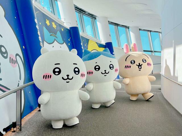 参加券付きチケットを持っている人が参加できる特別グリーティングも開催されます！