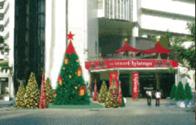 クリスマスの森 イルミネーション