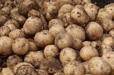 ジャガイモ
