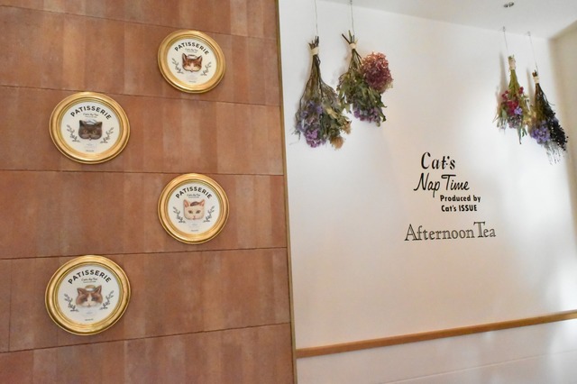 壁面の飾りも抜け目なくかわいい！