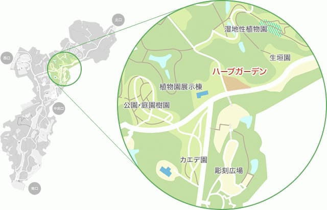 【国営武蔵丘陵森林公園】園内マップ