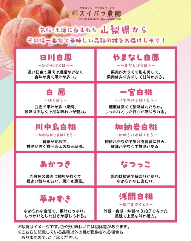 「山梨の桃食べ放題」＜⼤⼈3,200円～ ／ ⼩⼈1,800円～＞【スイパラ「山梨のもも＆マンゴー食べ放題」】