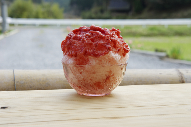 和・カフェ蛍茶園 [大分・耶馬渓]  いちご 600円