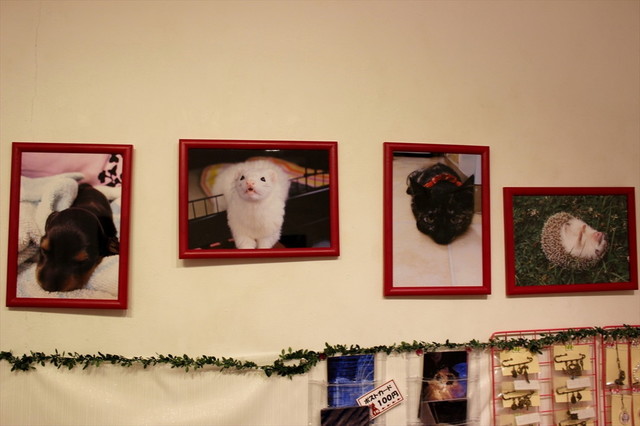 『少女展』/会場写真