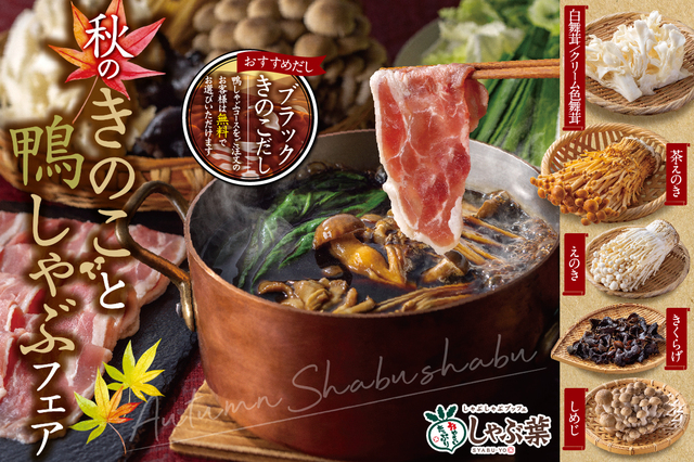 「秋のきのこと鴨しゃぶフェア」＜期間：2024年9月12日〜＞【“合鴨”や“きのこ”を「漆黒のきのこだし」でしゃぶしゃぶ！しゃぶ葉で『秋のきのこと鴨しゃぶフェア』開催！】