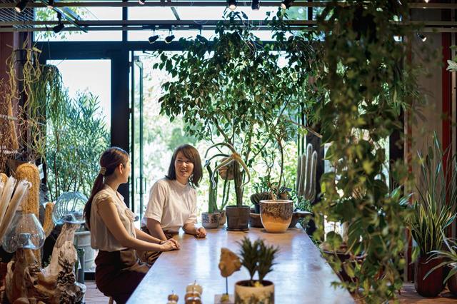 【兵庫・北野｜MINORI HILL｜GROUNDS】