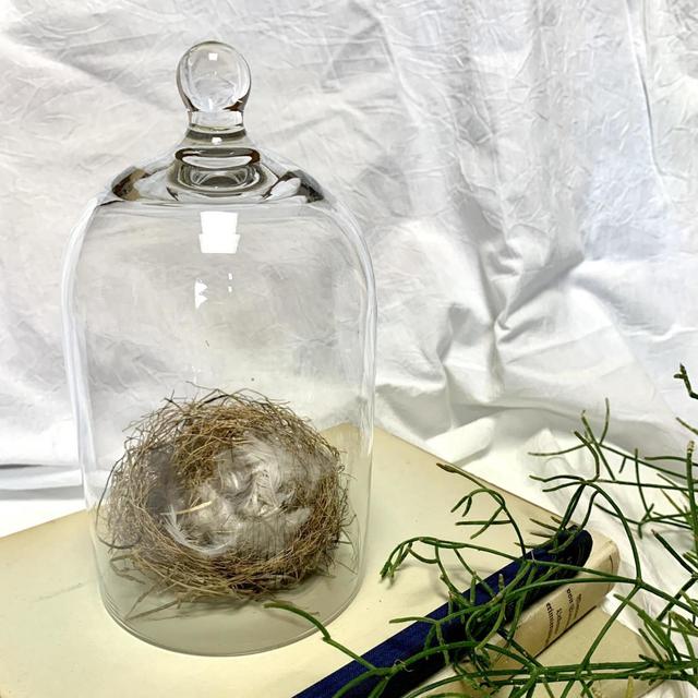 【IKEA MORGONTIDIG モロンティディグ】お気に入りのオブジェを入れて飾ってみてください