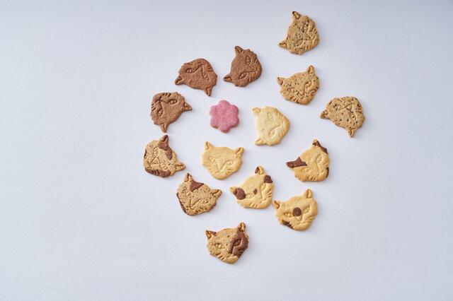 「Berry Miracle Cat Cookie Tin（神様のいたずらベリーネコクッキー缶）」＜税込価格：2,700円＞【『Fairycake Fair〈フェアリーケーキフェア〉の特別限定アイテム』