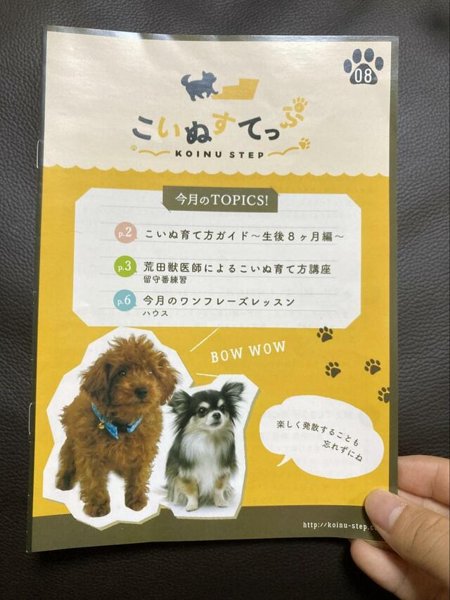 【こいぬすてっぷ 今月のTOPIX！】育て方やフレーズを覚えさせる方法が書いてあります