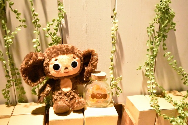 カワイイぬいぐるみ