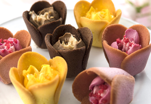 TOKYOチューリップローズ