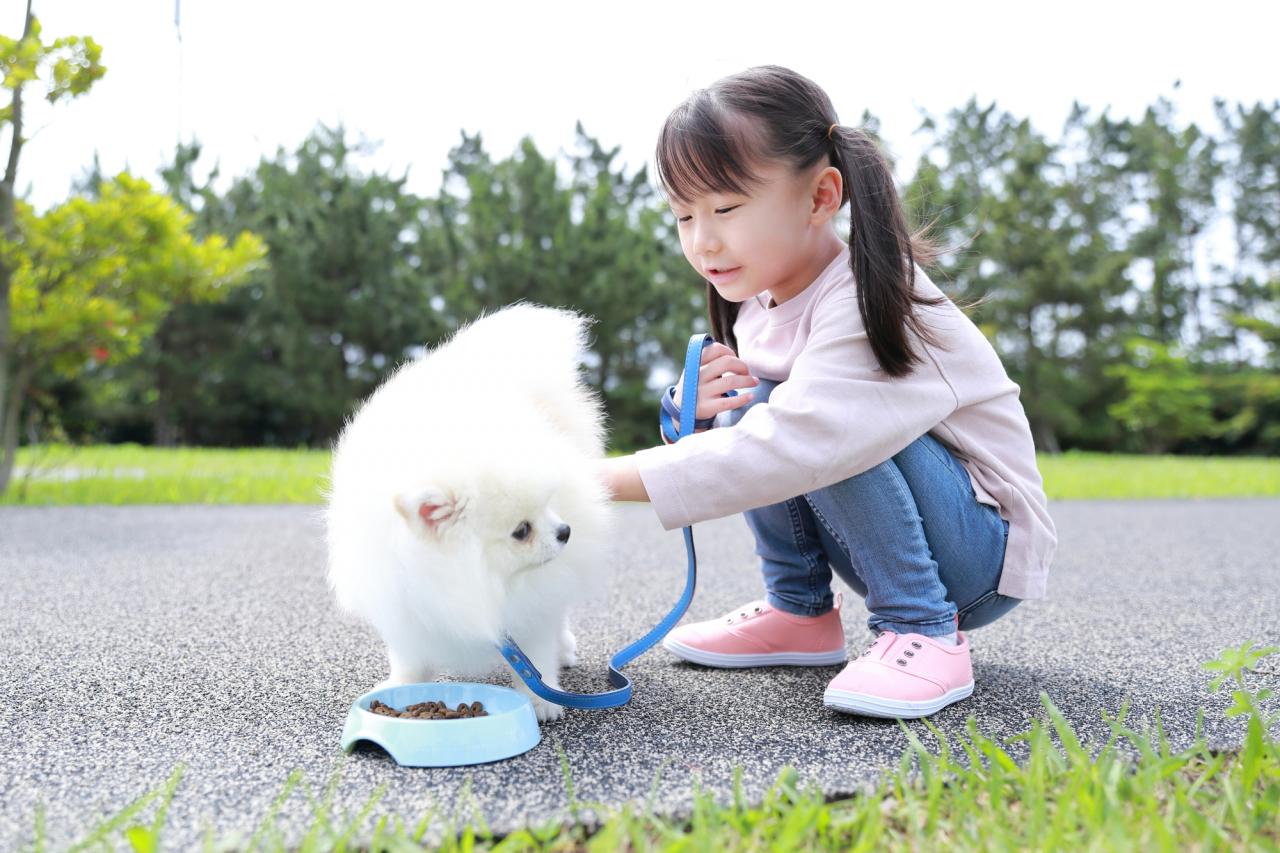 子どもが ペット飼いたい と言いだした 実際に飼った家の お世話の現状 1 2 ハピママ