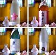 “春酒”が続々入荷！