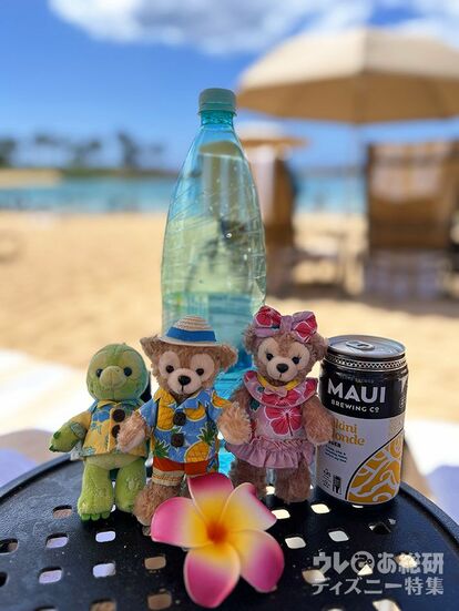 2025年】「アウラニ・ディズニー」現地最新情報まとめ！ホテル、グルメ