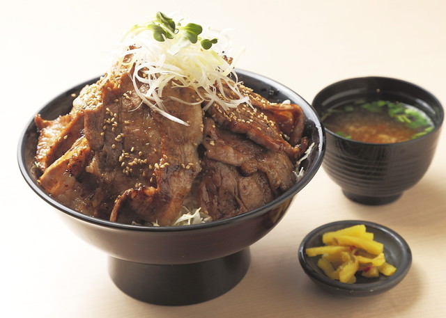 常磐道 ドラマチックエリア友部下り　とん丼 筑波山