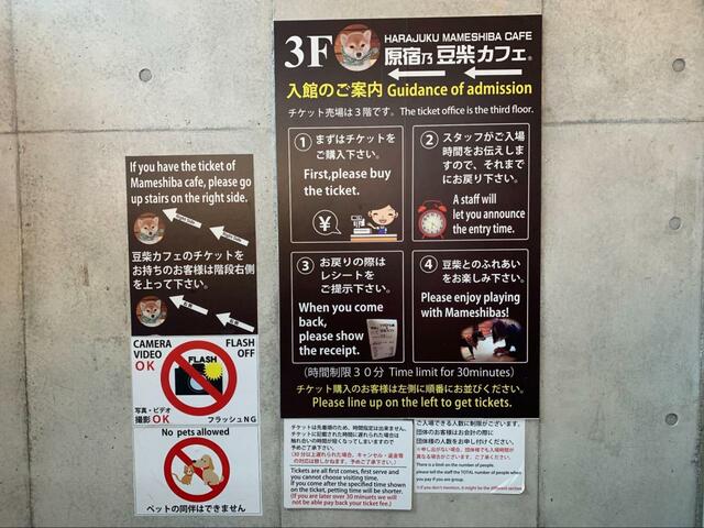 【原宿乃豆柴カフェ】事前にチケットを購入し時間になったら入場できます